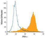 PILRA Polyclonal Antibody