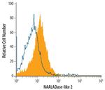 NAALADL2 Polyclonal Antibody
