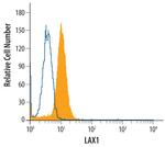 LAX1 Antibody in Flow Cytometry (Flow)