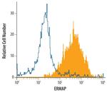 ERMAP Polyclonal Antibody