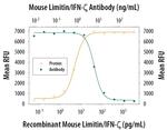 Limitin Antibody in Neutralization (Neu)