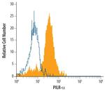 PILRA Polyclonal Antibody