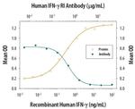IFNGR1 Antibody
