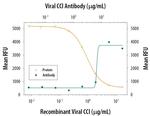 Viral CCI Polyclonal Antibody