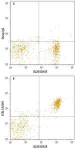 FCRL1 Polyclonal Antibody