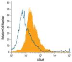 ASAM Antibody in Flow Cytometry (Flow)