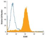 ASAM Antibody in Flow Cytometry (Flow)