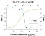 IFN gamma Antibody