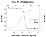 IFN gamma Antibody in Neutralization (Neu)