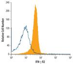 IFNGR2 Polyclonal Antibody
