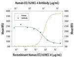 CCL16 Antibody in Neutralization (Neu)