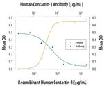 Contactin 1 Antibody in Neutralization (Neu)