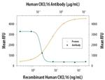 CXCL16 Antibody in Neutralization (Neu)