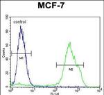 RNF19B Antibody in Flow Cytometry (Flow)