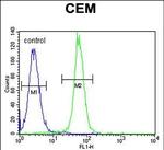 ARL5B Antibody in Flow Cytometry (Flow)