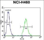 CCDC54 Antibody in Flow Cytometry (Flow)