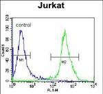 ZNF841 Antibody in Flow Cytometry (Flow)