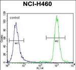 ZNF28 Antibody in Flow Cytometry (Flow)
