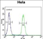 SIK3 Antibody in Flow Cytometry (Flow)