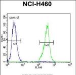 TRIM65 Antibody in Flow Cytometry (Flow)