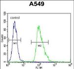 AQP12B Antibody in Flow Cytometry (Flow)