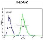 OR4K5 Antibody in Flow Cytometry (Flow)
