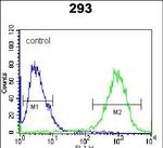 STX16 Antibody in Flow Cytometry (Flow)