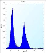 PODNL1 Antibody in Flow Cytometry (Flow)