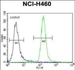 CCNYL3 Antibody in Flow Cytometry (Flow)