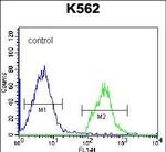 HIST1H2BL Antibody in Flow Cytometry (Flow)