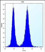 PHF5A Antibody in Flow Cytometry (Flow)