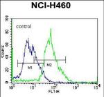 MGAT5 Antibody in Flow Cytometry (Flow)