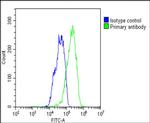 WDR82 Antibody in Flow Cytometry (Flow)