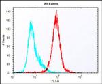 Claudin 6 Antibody in Flow Cytometry (Flow)