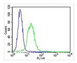 ITGA7 Antibody in Flow Cytometry (Flow)