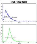 ALKBH8 Antibody in Flow Cytometry (Flow)