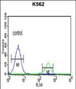 KIR3DS1 Antibody in Flow Cytometry (Flow)