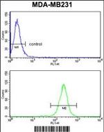 NCF1C Antibody in Flow Cytometry (Flow)