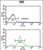 TSPAN12 Antibody in Flow Cytometry (Flow)