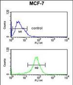 DIO2 Antibody in Flow Cytometry (Flow)