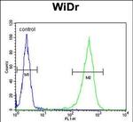 CCDC3 Antibody in Flow Cytometry (Flow)
