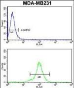 RPGRIP1 Antibody in Flow Cytometry (Flow)