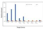 NSD1 Antibody in ChIP Assay (ChIP)