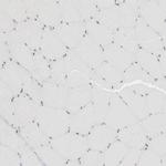 AUTS2 Antibody in Immunohistochemistry (Paraffin) (IHC (P))