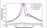 CTCFL Antibody in ChIP Assay (ChIP)