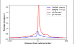 ZNF148 Antibody in ChIP Assay (ChIP)