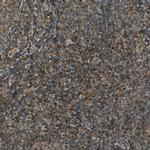 LAMTOR1 Polyclonal Antibody