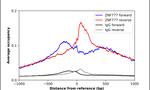 ZNF777 Antibody in ChIP Assay (ChIP)