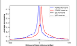 FOXN2 Antibody in ChIP Assay (ChIP)