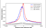 ETV3 Antibody in ChIP Assay (ChIP)